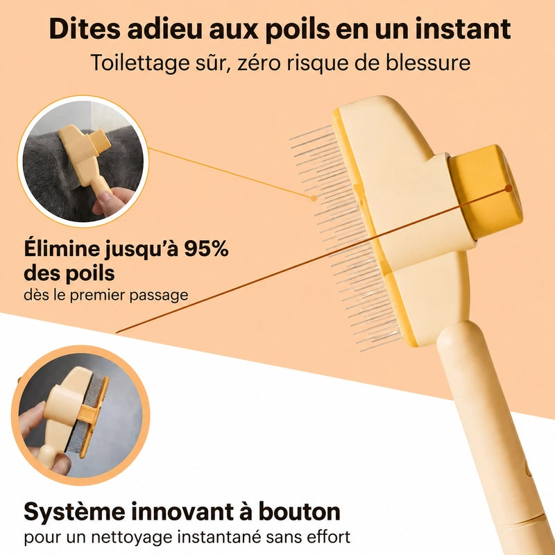 https://cdn.dropmagic.ai/medias/97a45781-0277-4849-a478-3030d95749fe.webp